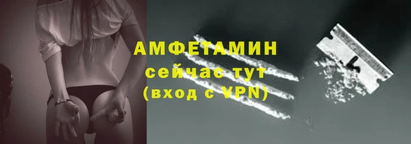 первитин Вяземский