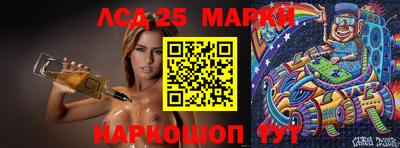 PSILOCYBIN Гатчина