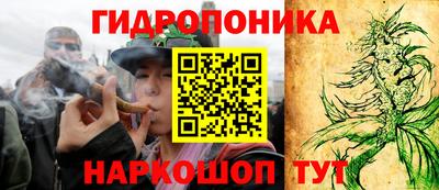 PSILOCYBIN Гатчина
