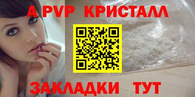 PSILOCYBIN Гатчина