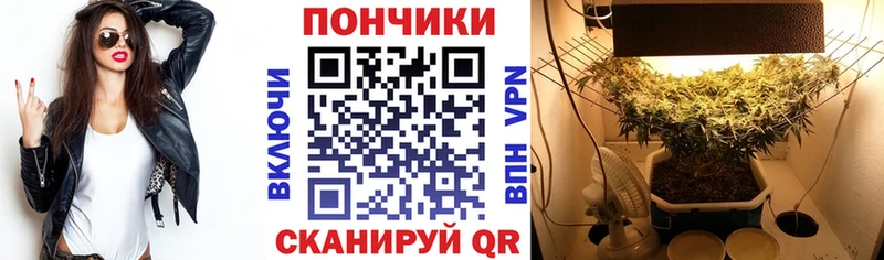 Бошки Шишки THC 21%  наркотики  Георгиевск 